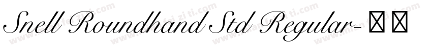 Snell Roundhand Std Regular字体转换